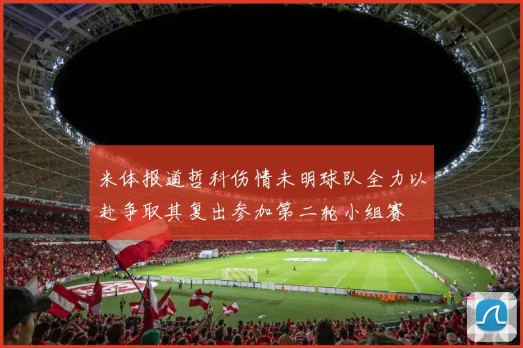米体报道哲科伤情未明球队全力以赴争取其复出参加第二轮小组赛