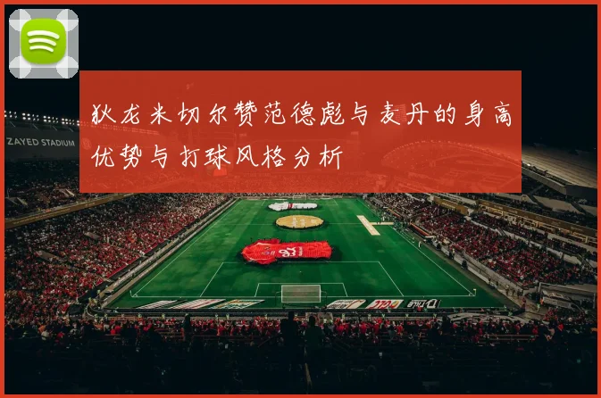 狄龙米切尔赞范德彪与麦丹的身高优势与打球风格分析